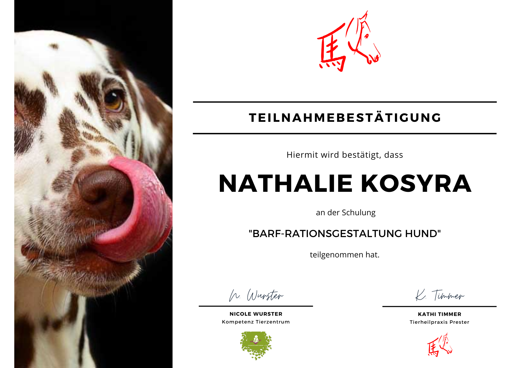 BARF-Rationsgestaltung Hund