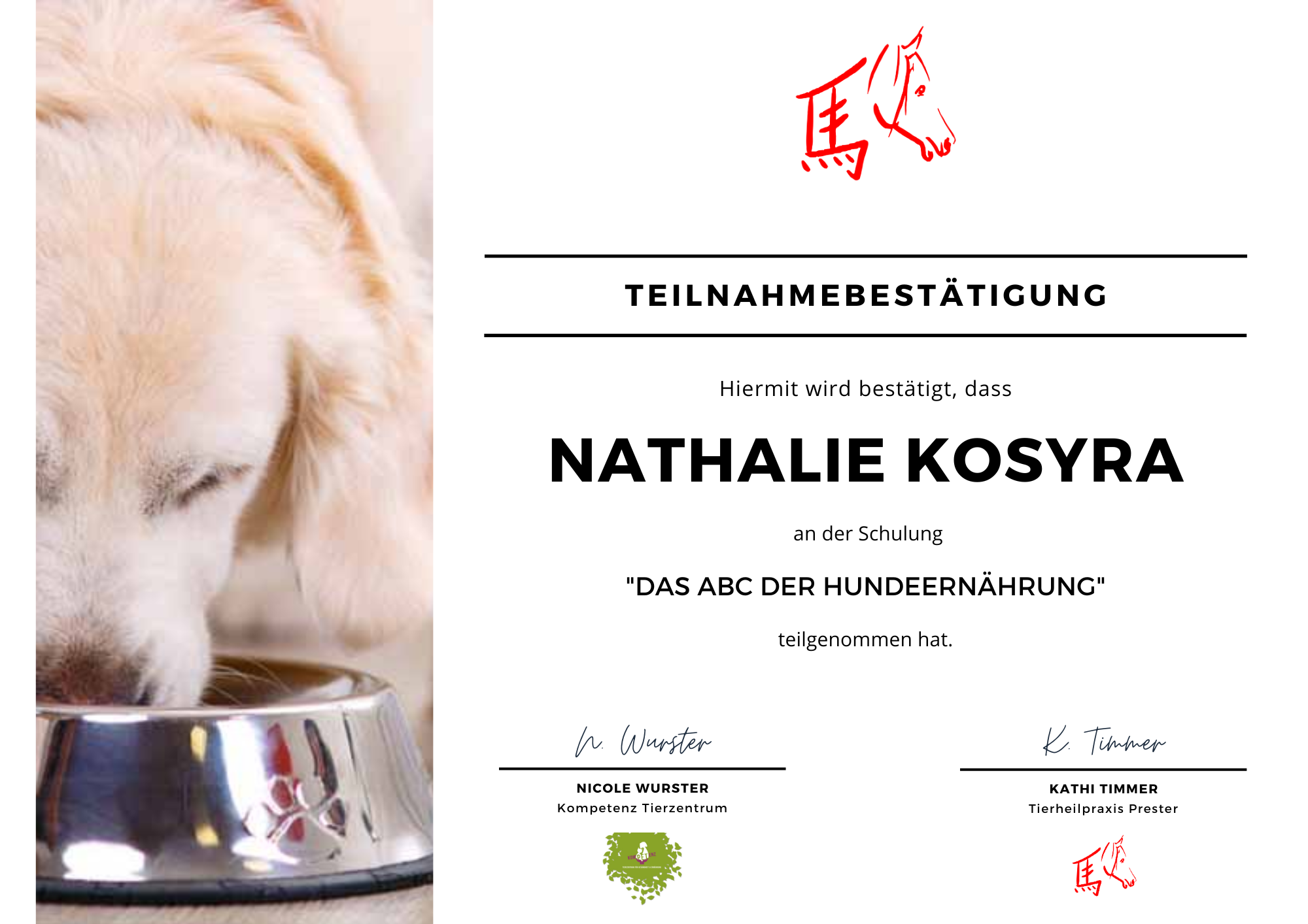 Das ABC der Hundeernährung