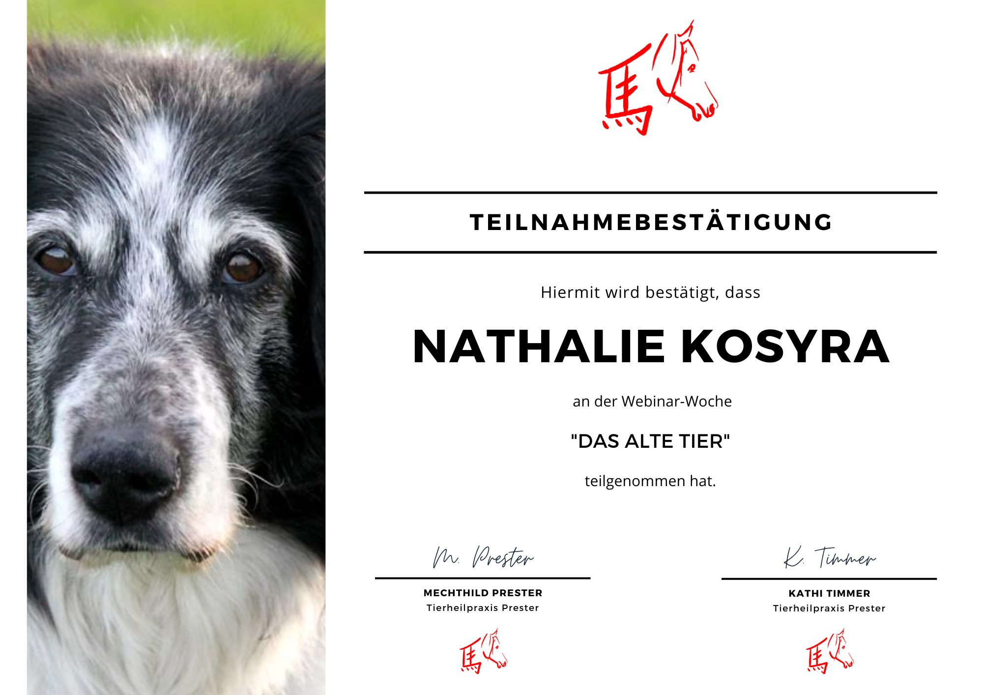 Das alte Tier