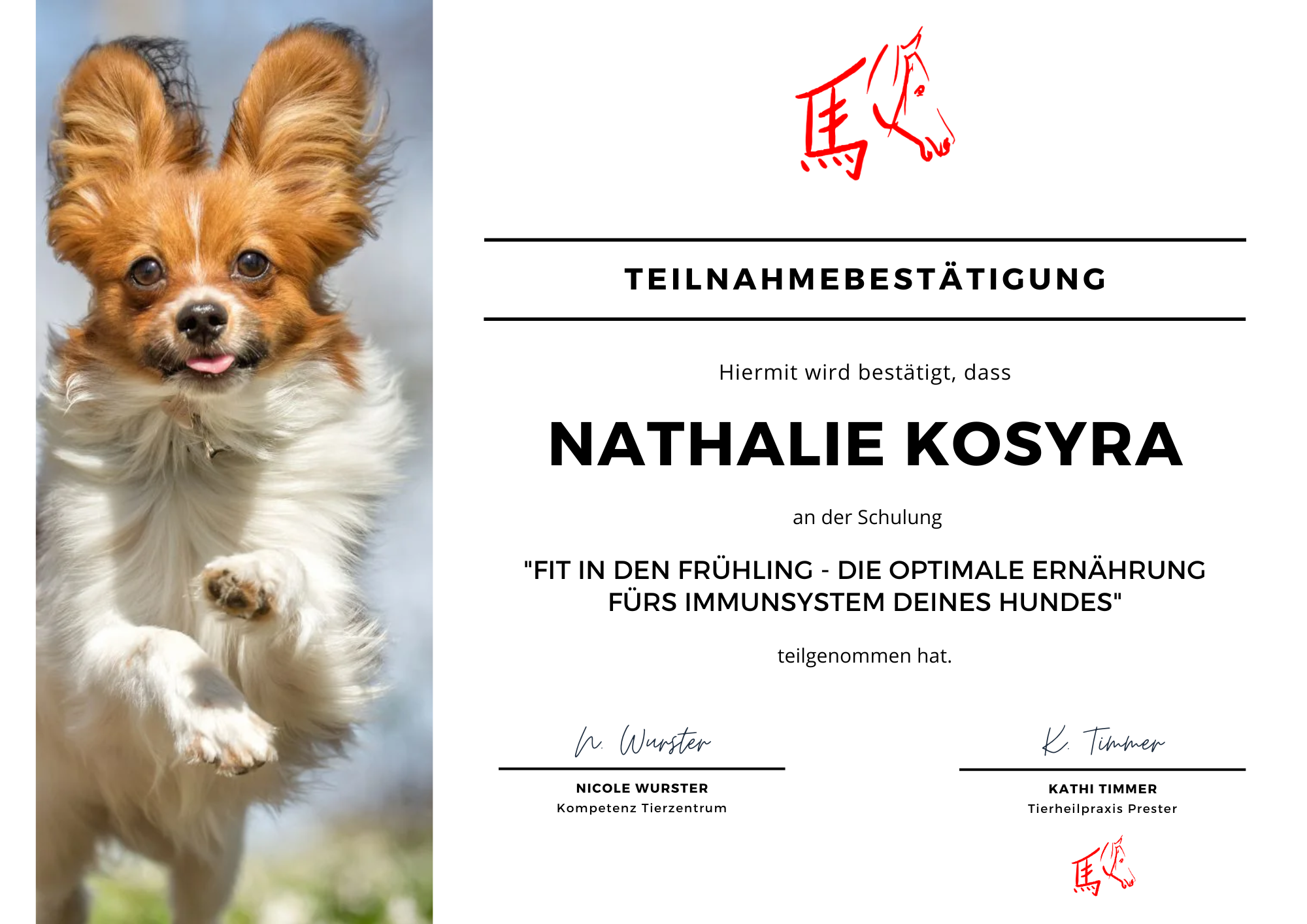 Fit in den Frühling
