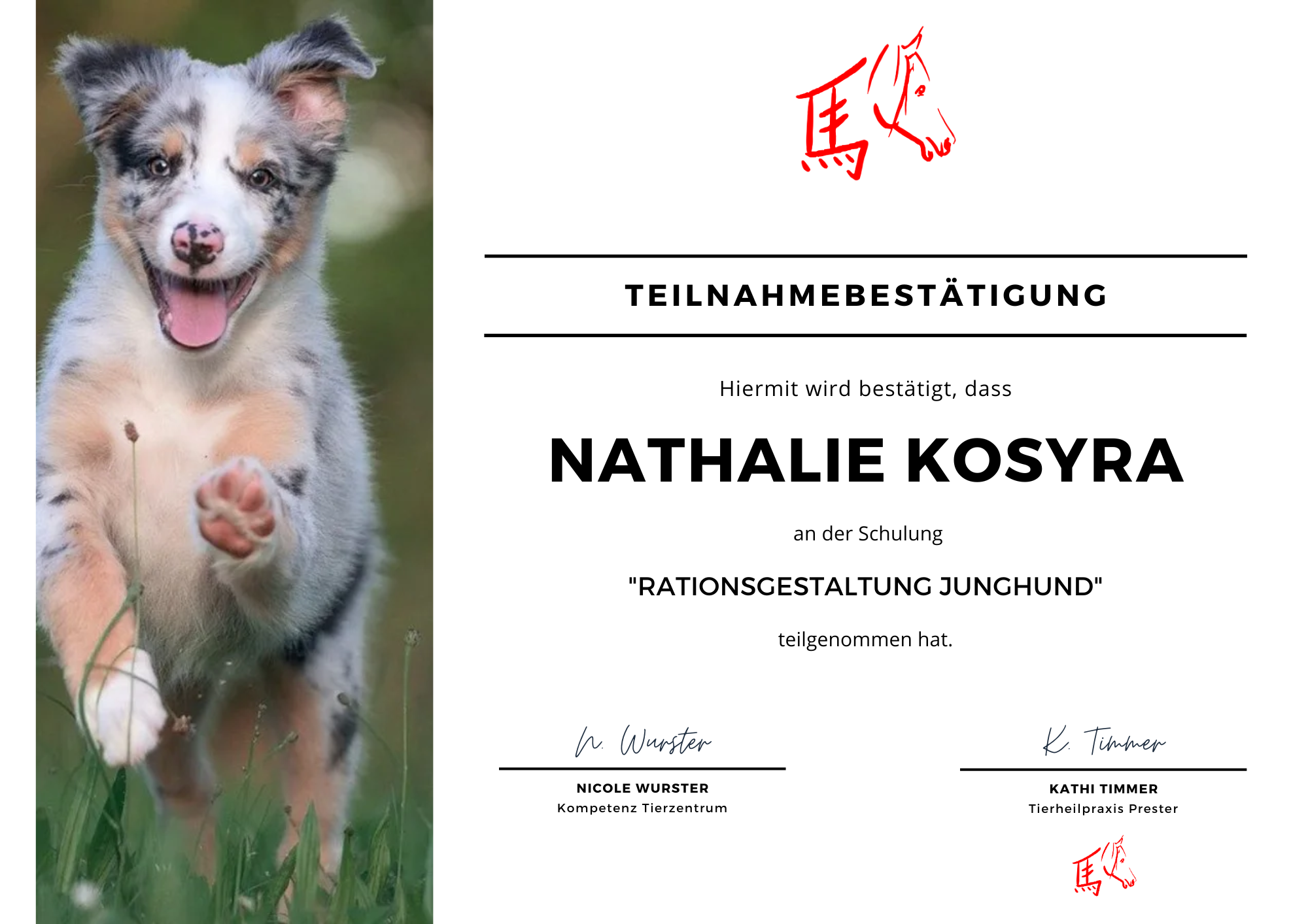 Rationsgestaltung Junghund