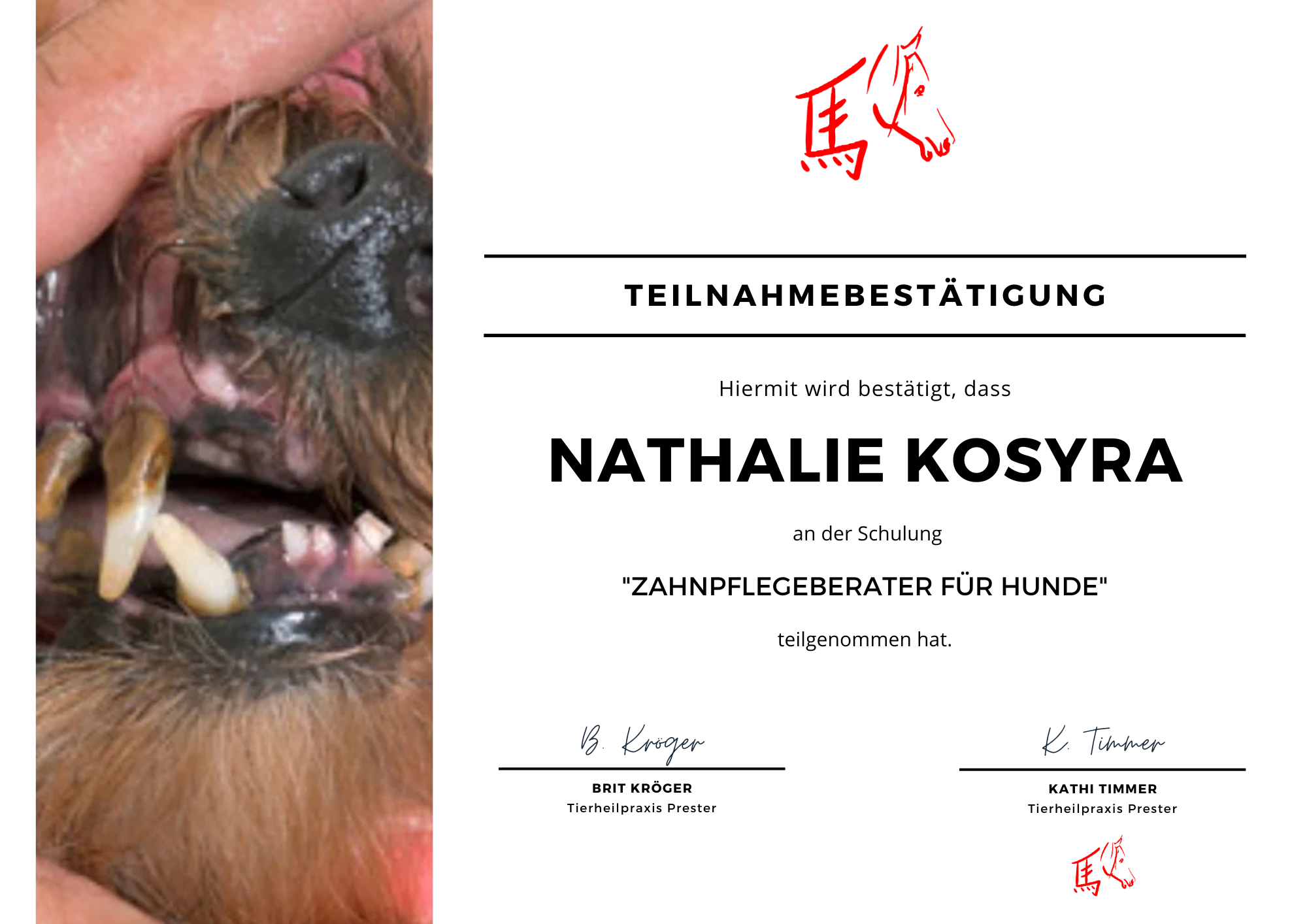 Zahnpflegeberater für Hunde