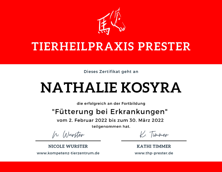 Zertifikat_B