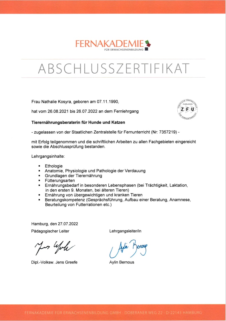 Zertifikat_C Kopie-min