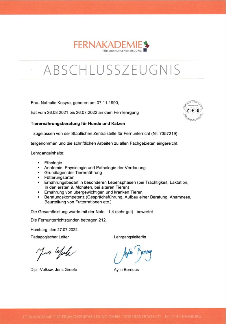 Zertifikat_D Kopie-min
