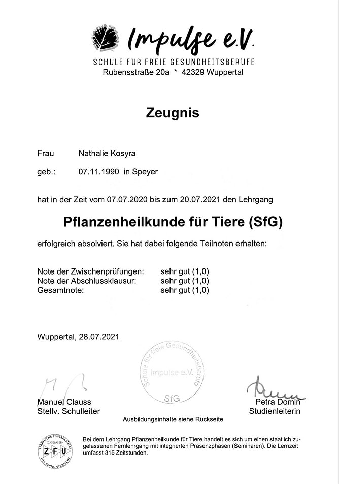 Zertifikat_E Kopie-min
