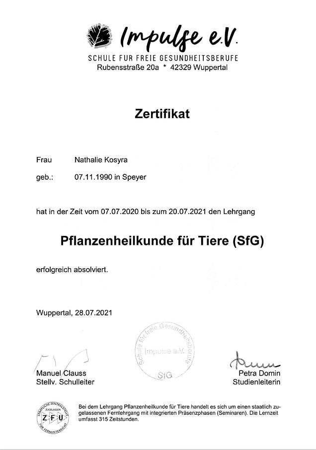 Zertifikat_F Kopie-min