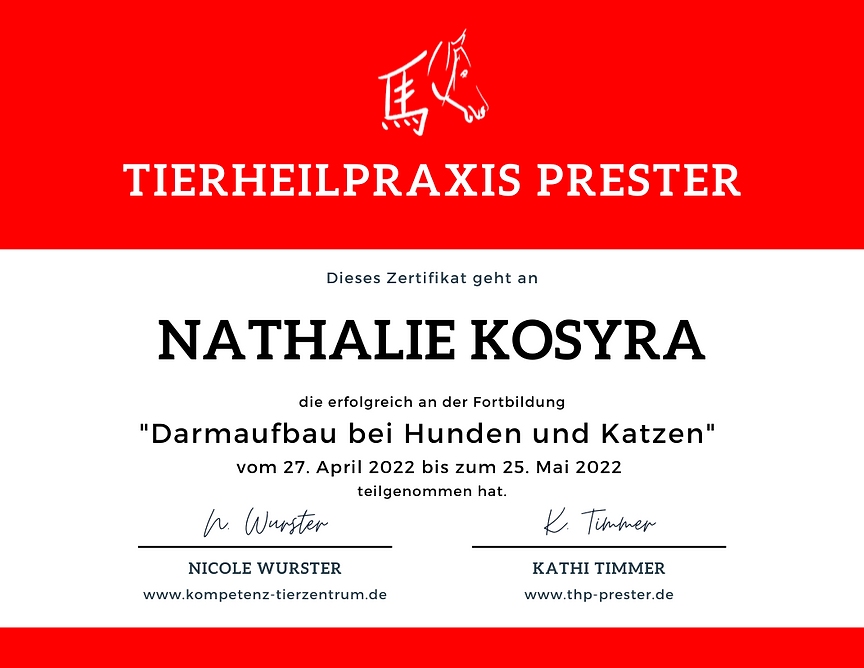 Zertifikat_H