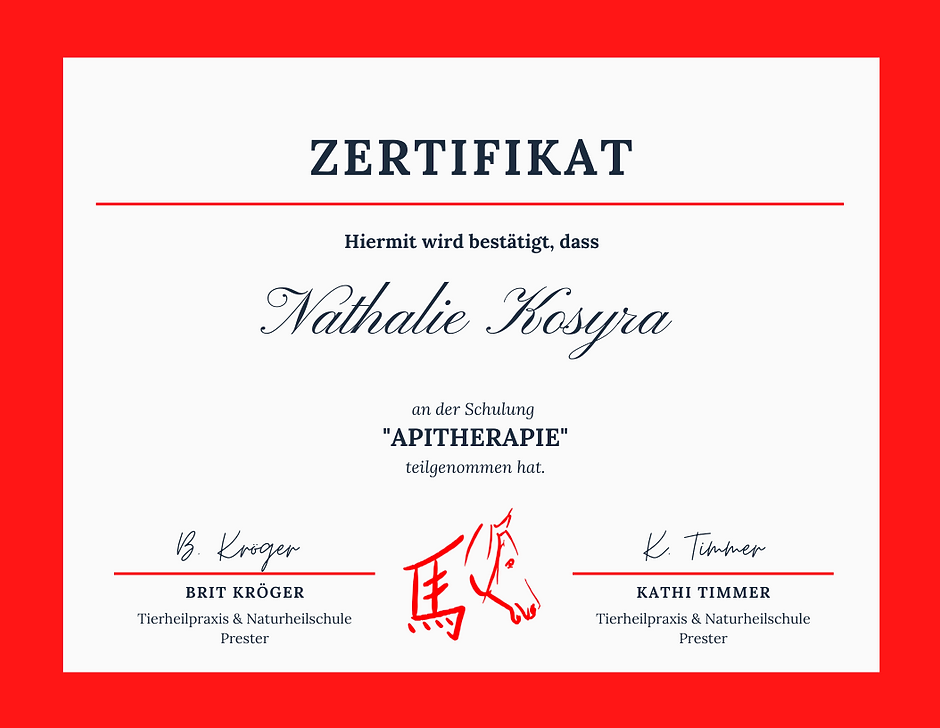 Zertifikat_J